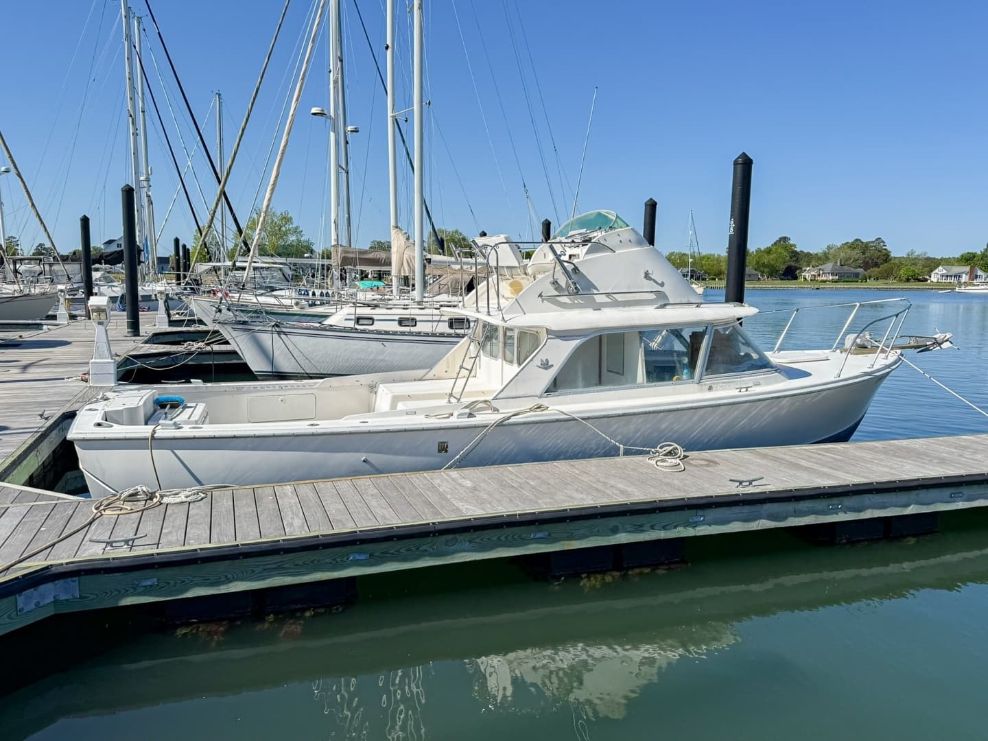 1972 Bertram Fly Bridge Cruiser - photo 1 of 48