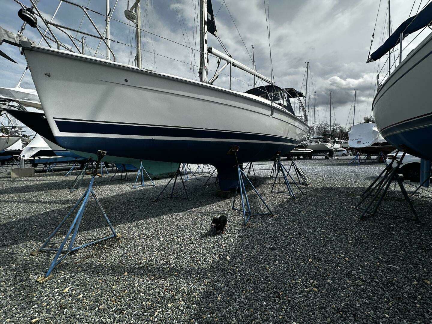 2004 Hunter - photo 1 of 49