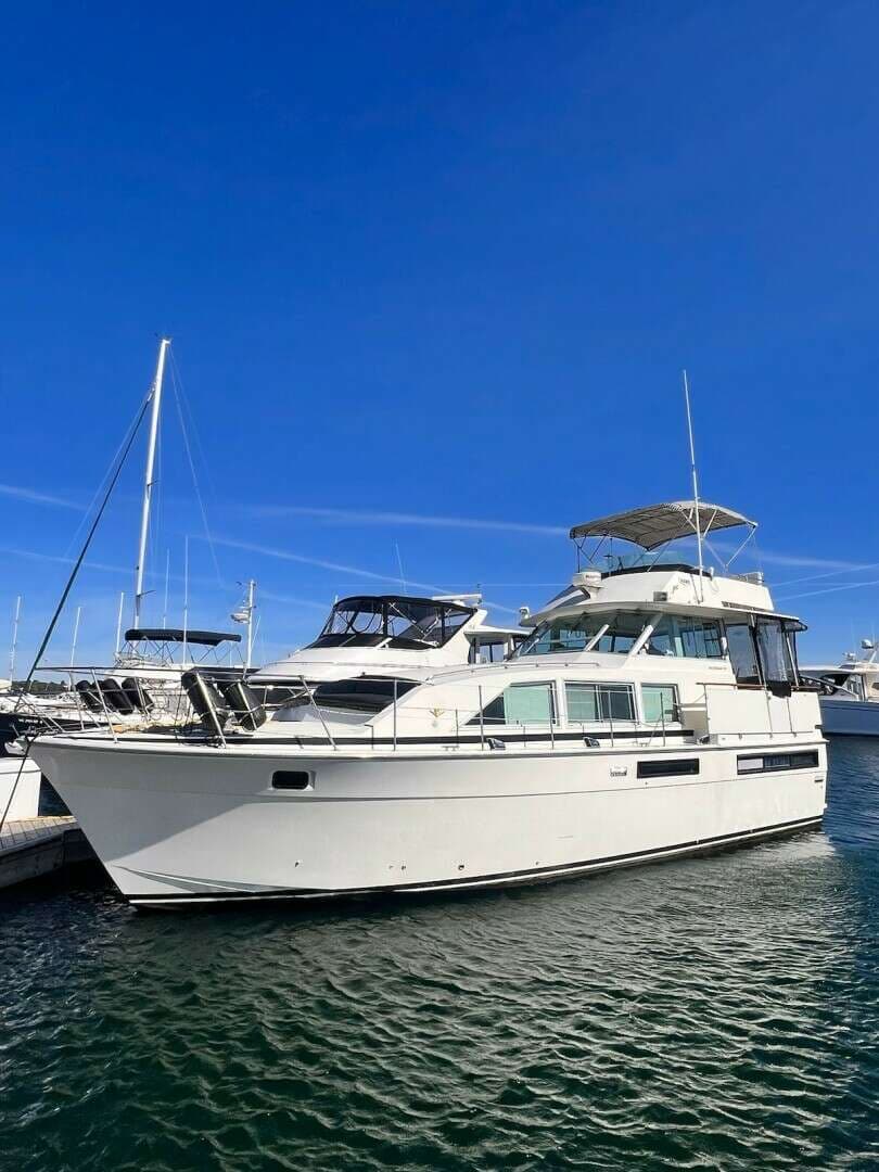 1977 Bertram 42 Motor Yacht - photo 1 of 97