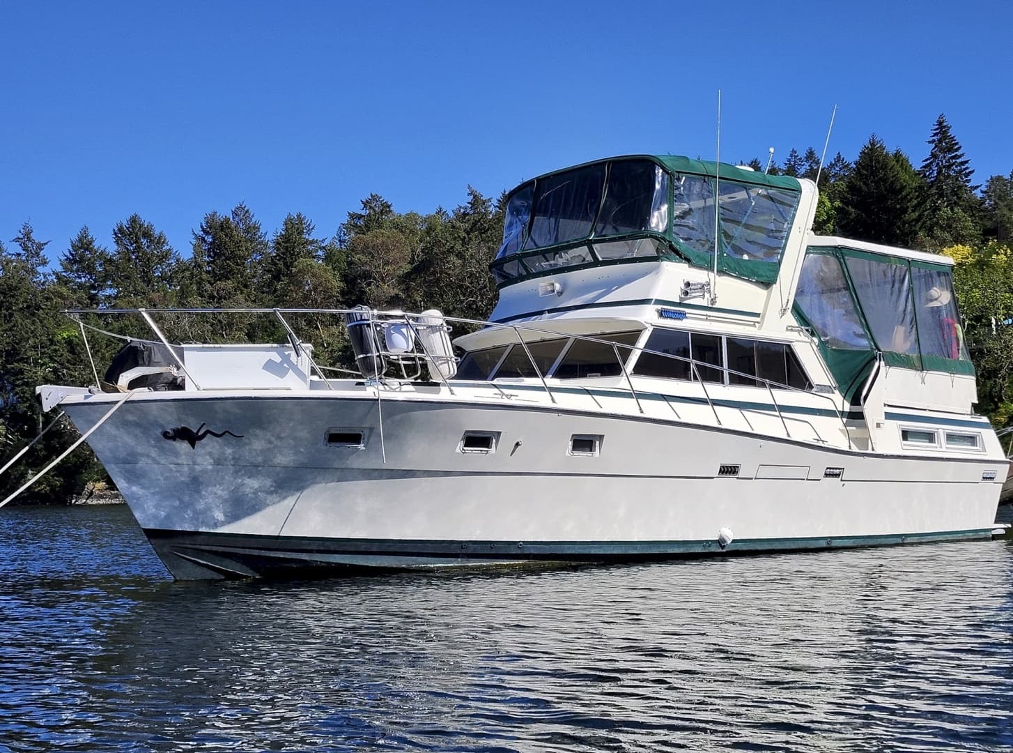1977 Viking 43 - photo 1 of 35