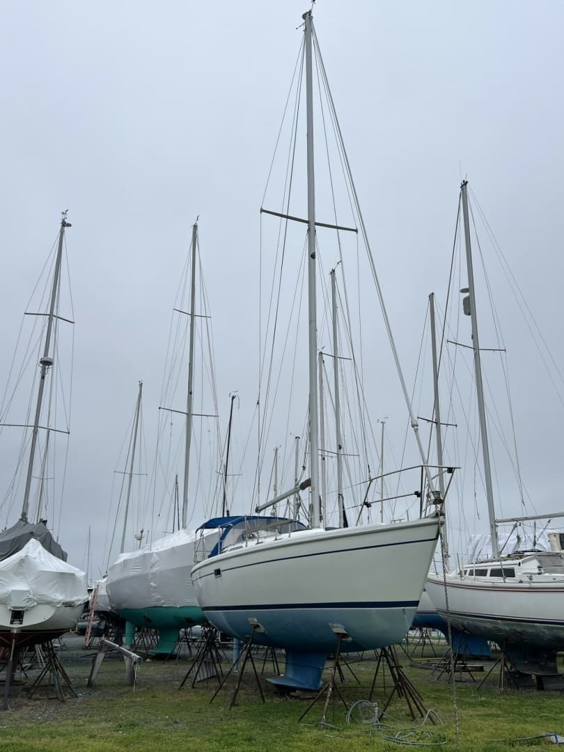 1995 Catalina 36 Mk II - photo 1 of 44